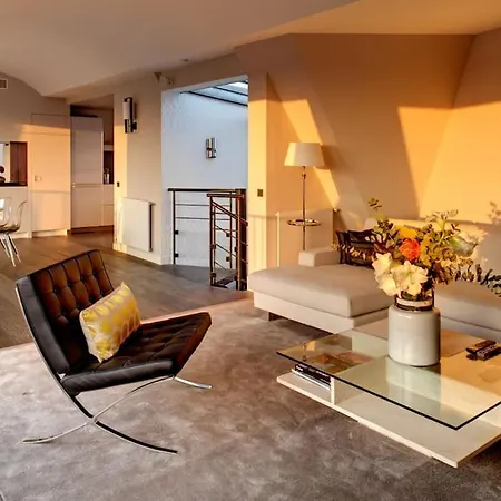 Superb With Terrace And Private Gym Paris
